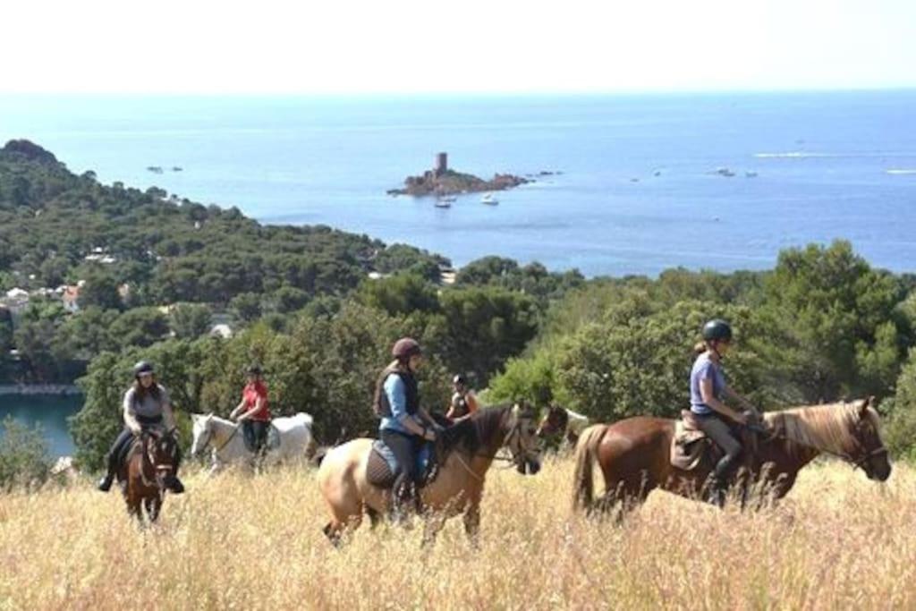 Dans Un Cadre D'Exception, Vue Mer Panoramique A Agay Cote D'Azur, Village Vacances Cap Esterel, T2 Avec Jardin, Golf, Climatisation, Wifi, 5 Piscines Saint-Raphaël Exterior foto