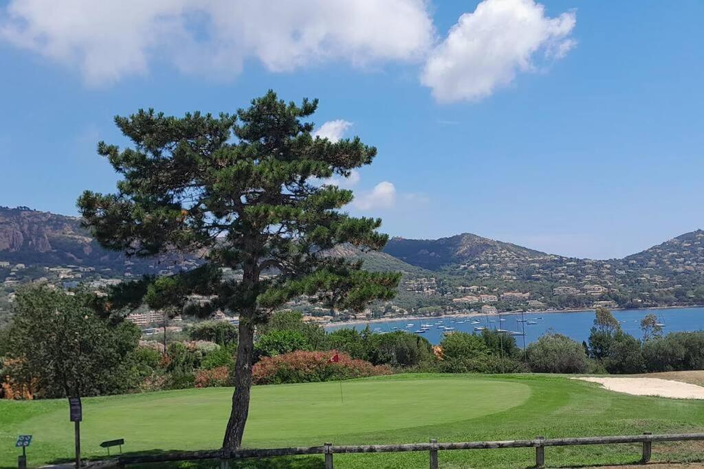 Dans Un Cadre D'Exception, Vue Mer Panoramique A Agay Cote D'Azur, Village Vacances Cap Esterel, T2 Avec Jardin, Golf, Climatisation, Wifi, 5 Piscines Saint-Raphaël Exterior foto