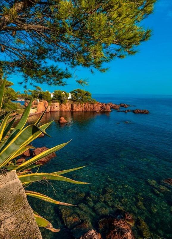 Dans Un Cadre D'Exception, Vue Mer Panoramique A Agay Cote D'Azur, Village Vacances Cap Esterel, T2 Avec Jardin, Golf, Climatisation, Wifi, 5 Piscines Saint-Raphaël Exterior foto